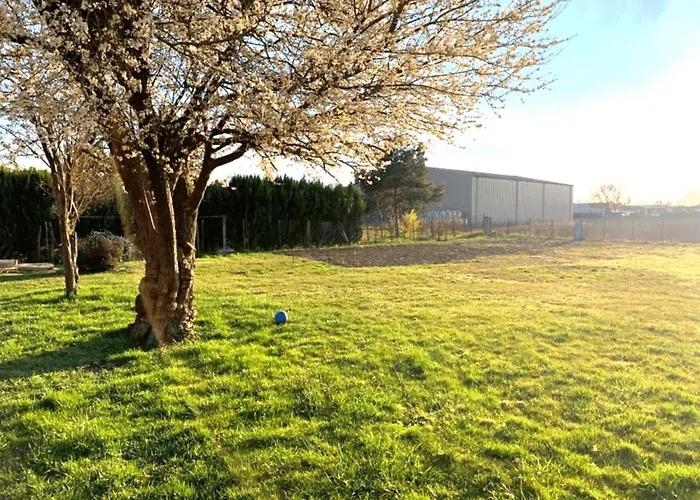 Groupe Arbane-chardonnay Bucheres